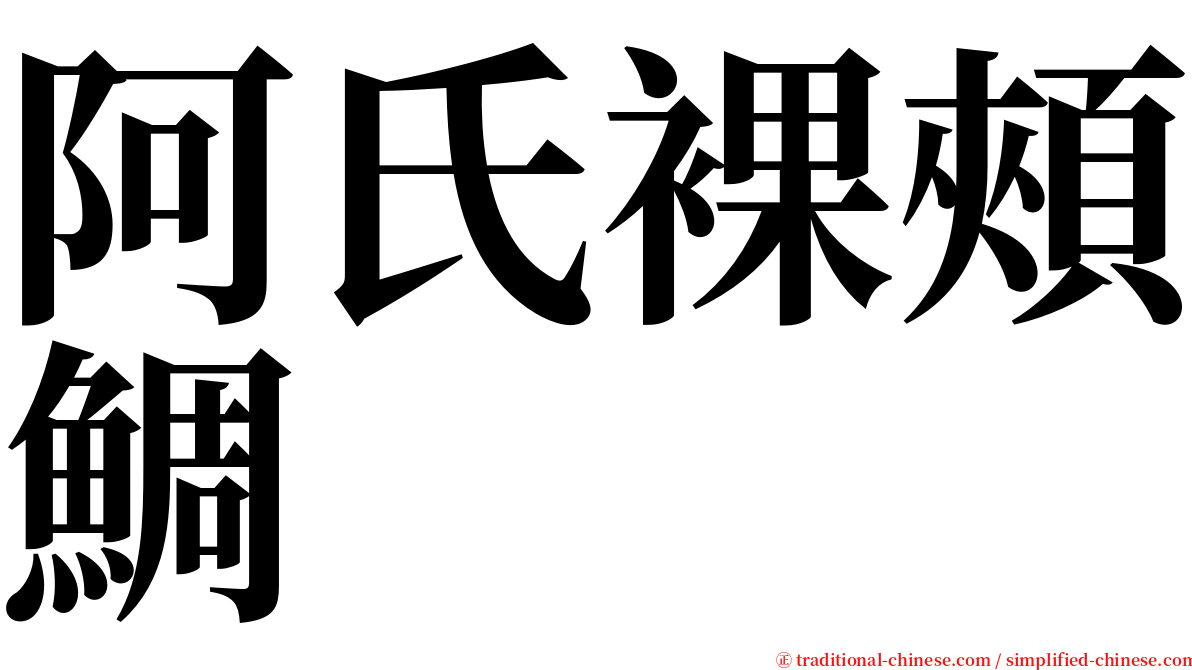 阿氏裸頰鯛 serif font