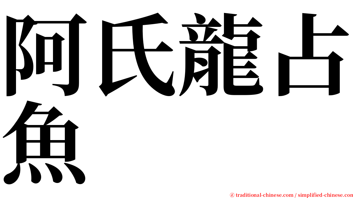 阿氏龍占魚 serif font