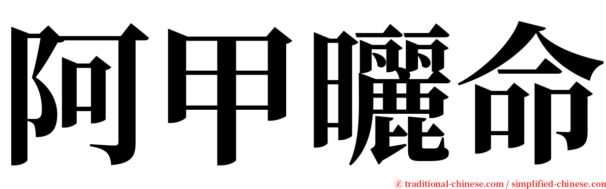 阿甲曬命 serif font