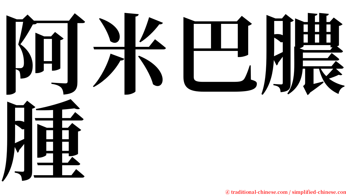 阿米巴膿腫 serif font