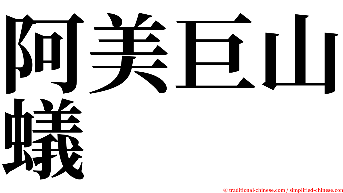 阿美巨山蟻 serif font