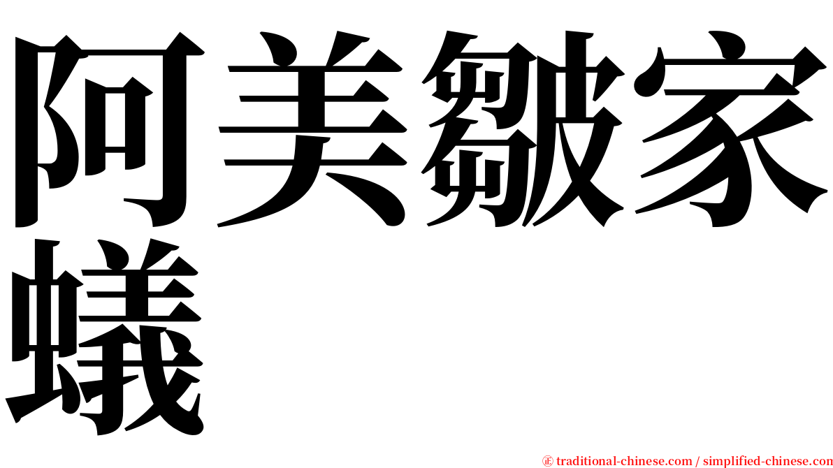 阿美皺家蟻 serif font