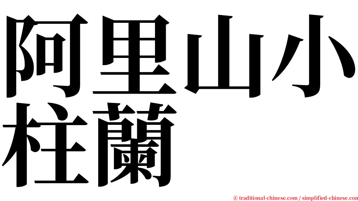 阿里山小柱蘭 serif font