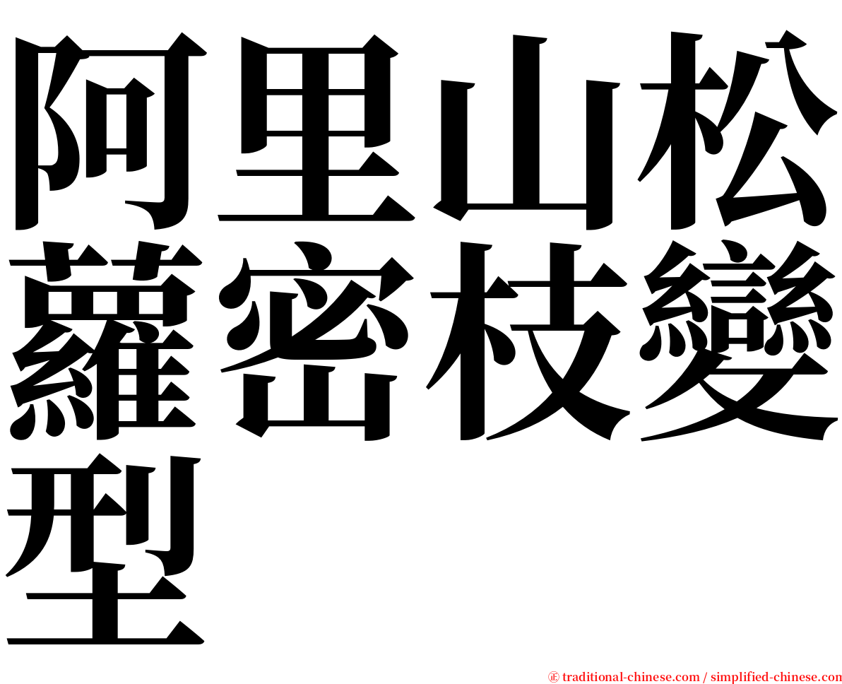 阿里山松蘿密枝變型 serif font