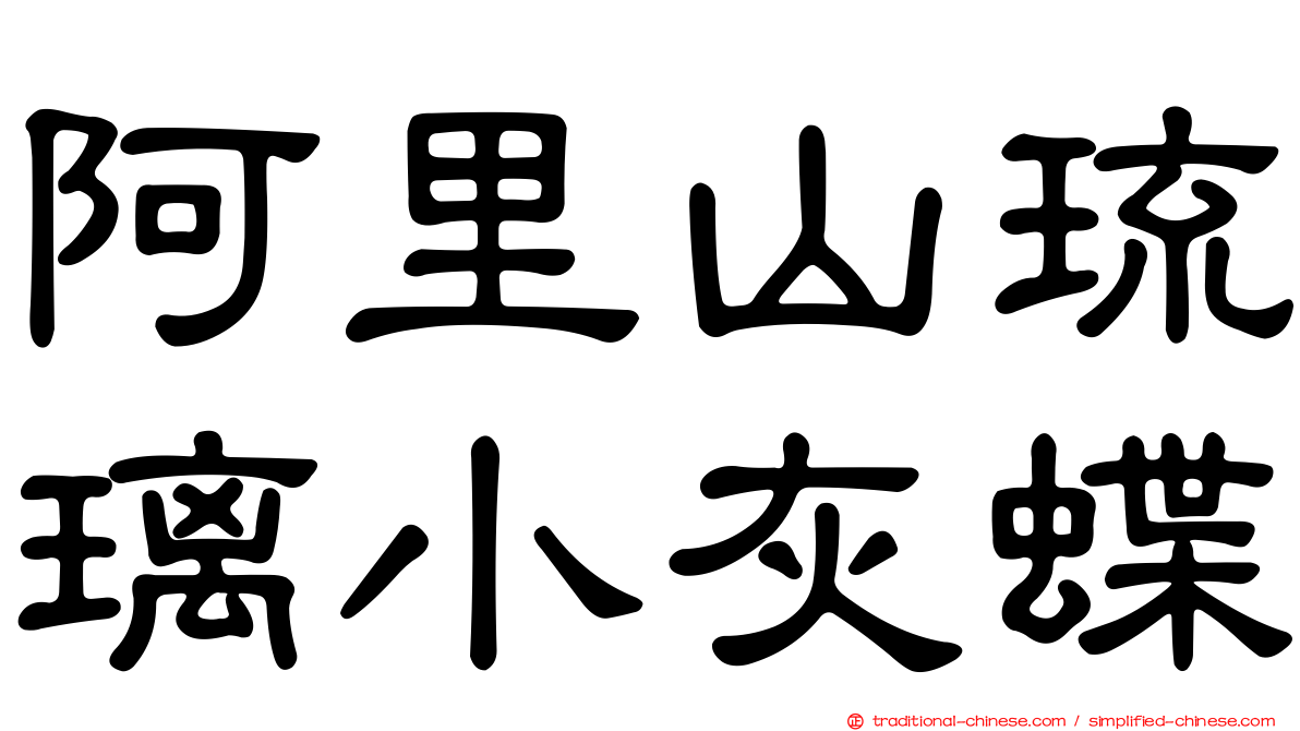 阿里山琉璃小灰蝶