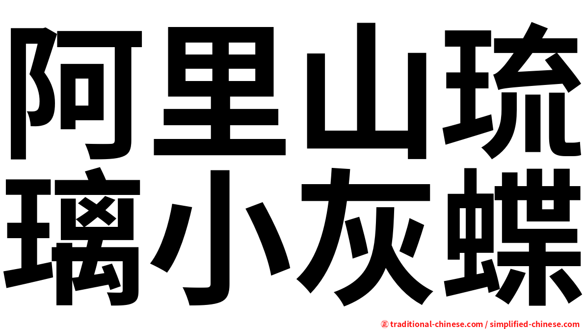 阿里山琉璃小灰蝶