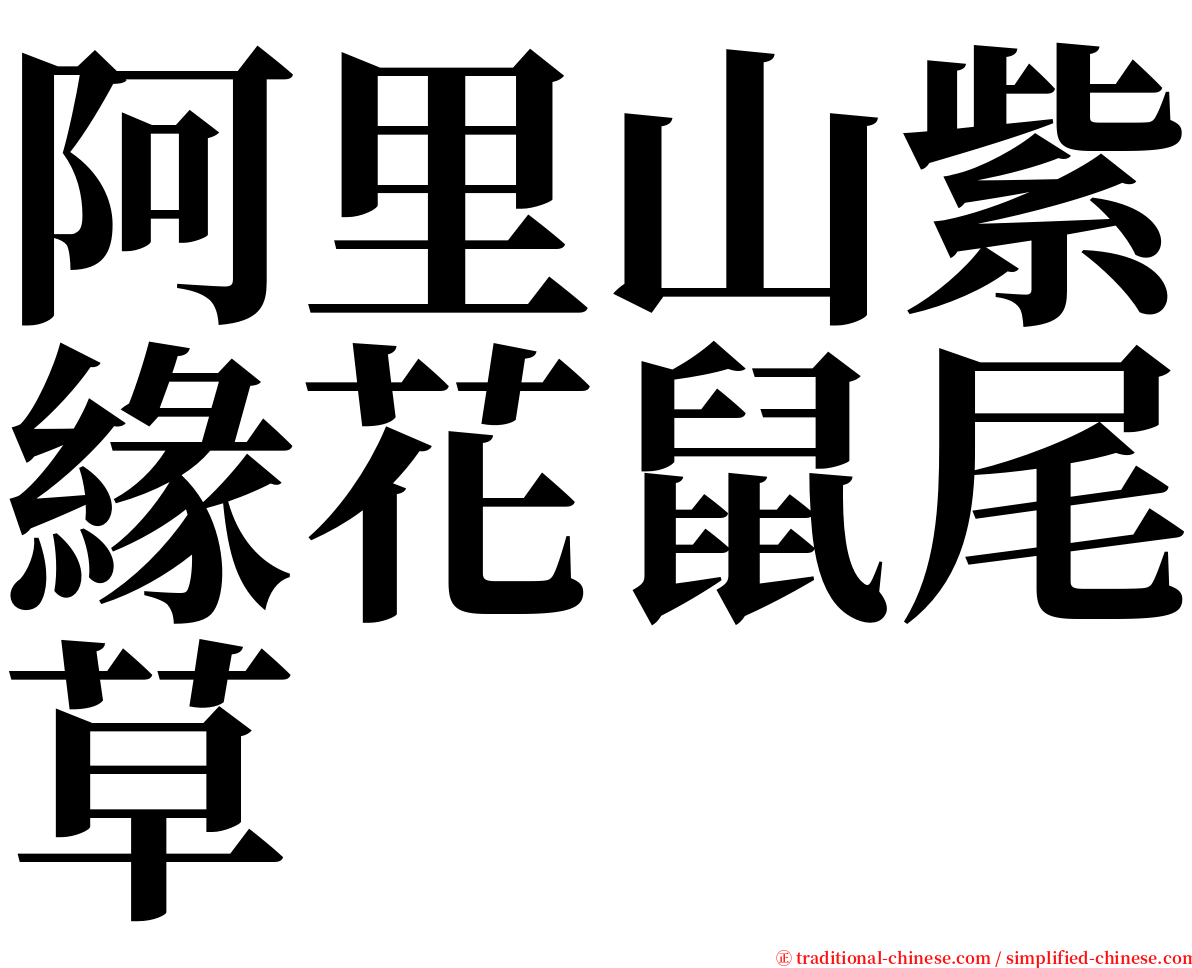 阿里山紫緣花鼠尾草 serif font