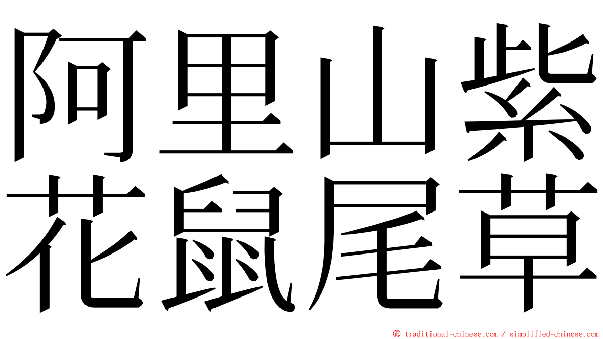 阿里山紫花鼠尾草 ming font