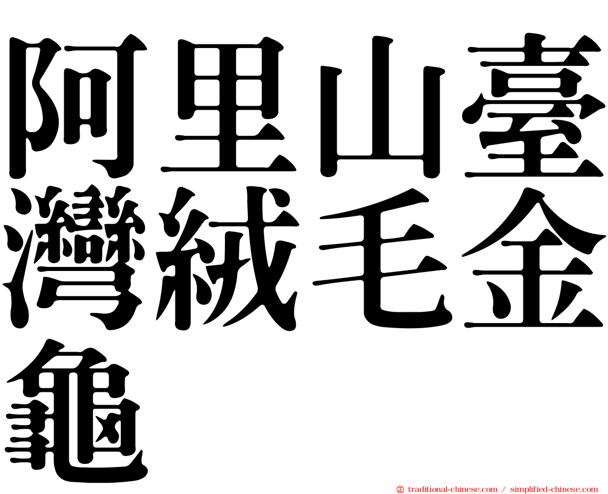 阿里山臺灣絨毛金龜