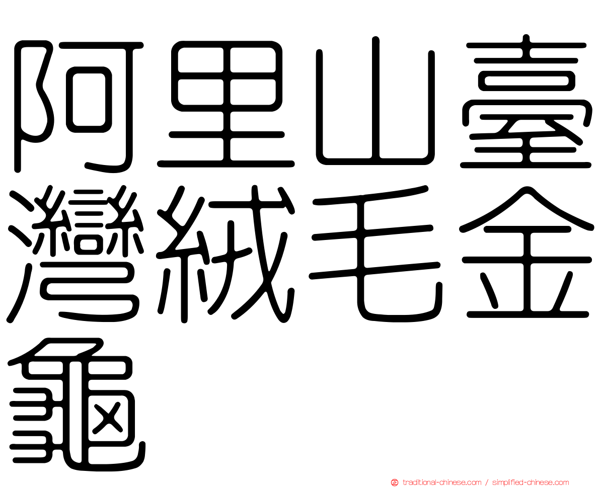 阿里山臺灣絨毛金龜