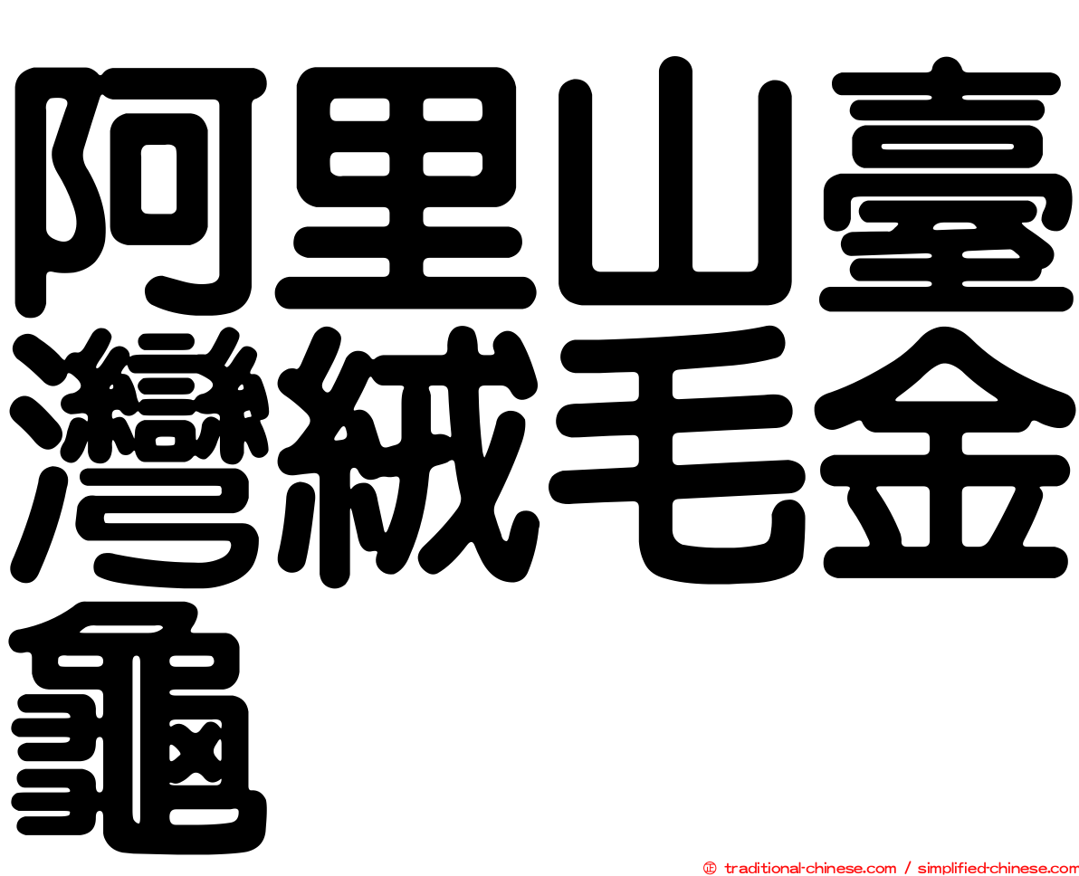 阿里山臺灣絨毛金龜