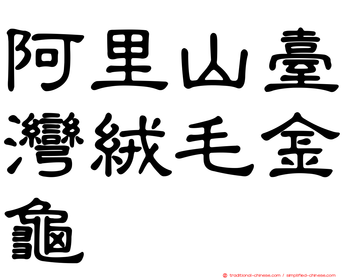 阿里山臺灣絨毛金龜