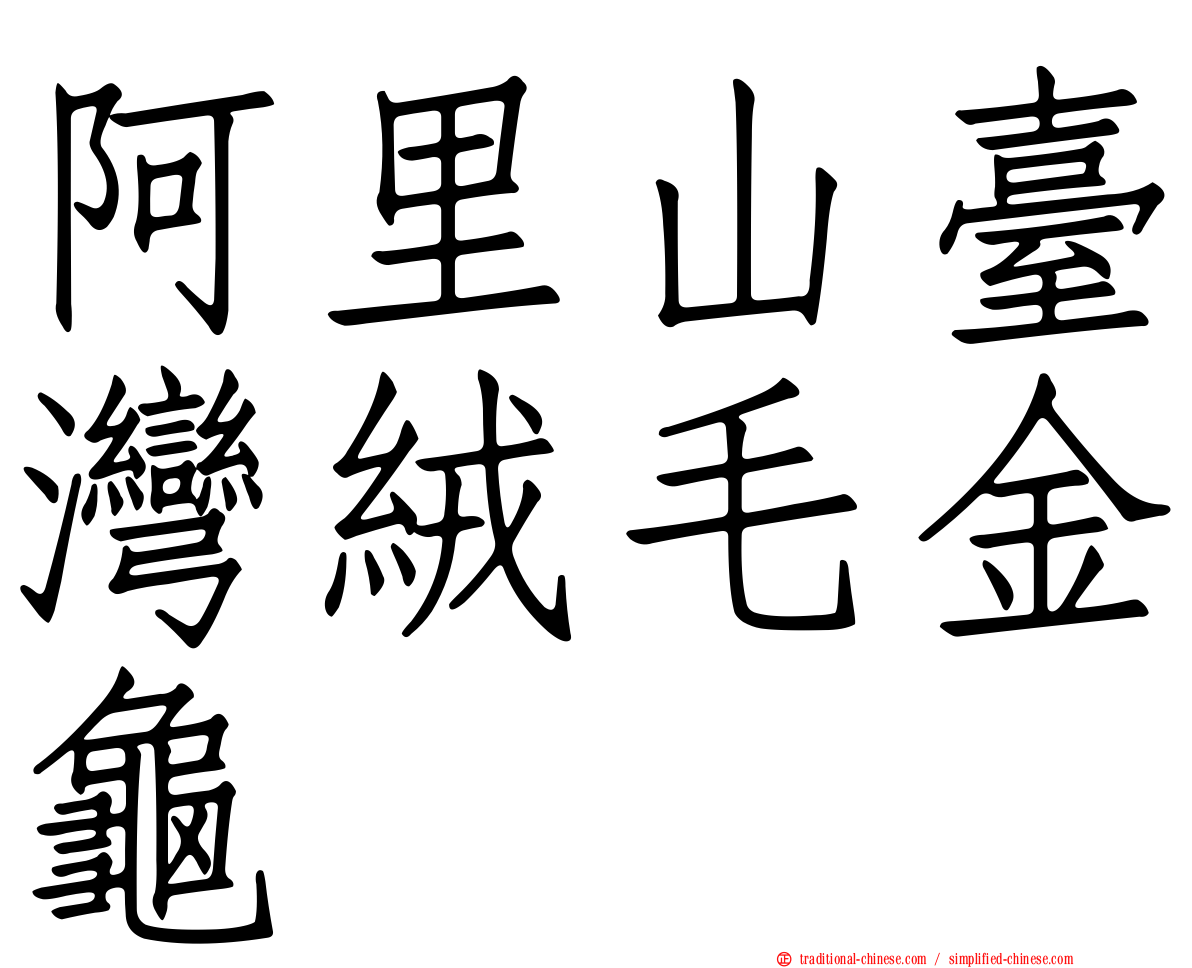 阿里山臺灣絨毛金龜