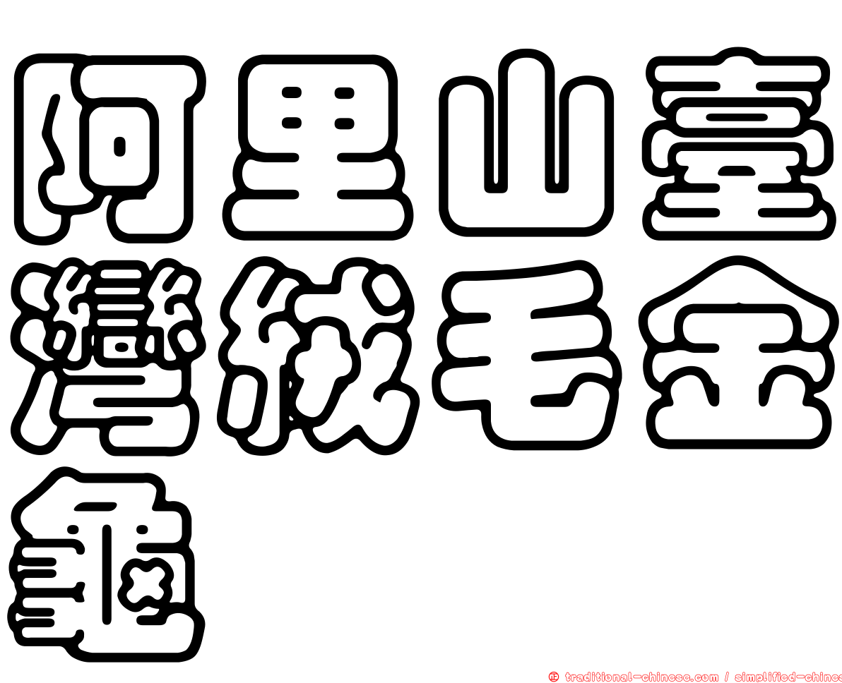 阿里山臺灣絨毛金龜