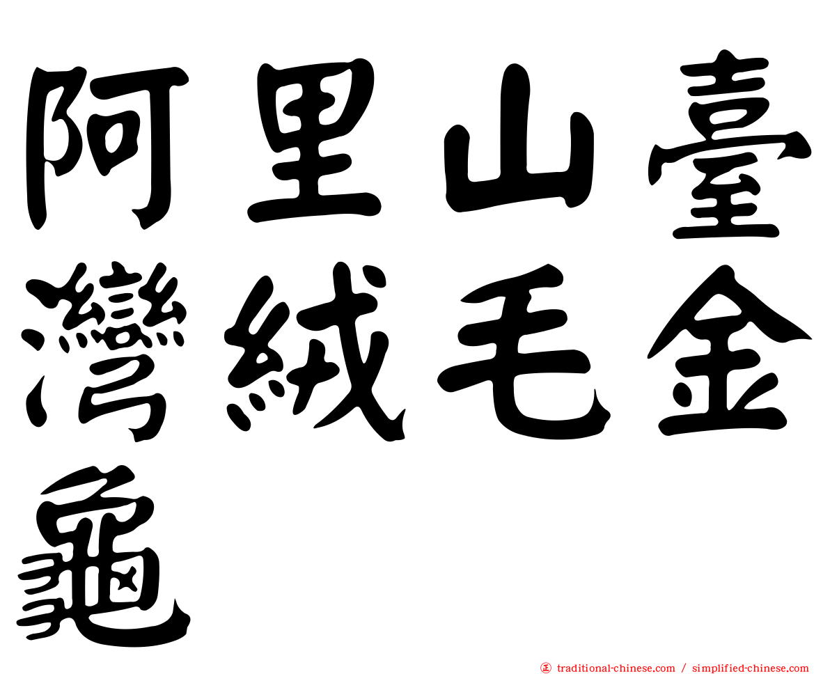 阿里山臺灣絨毛金龜