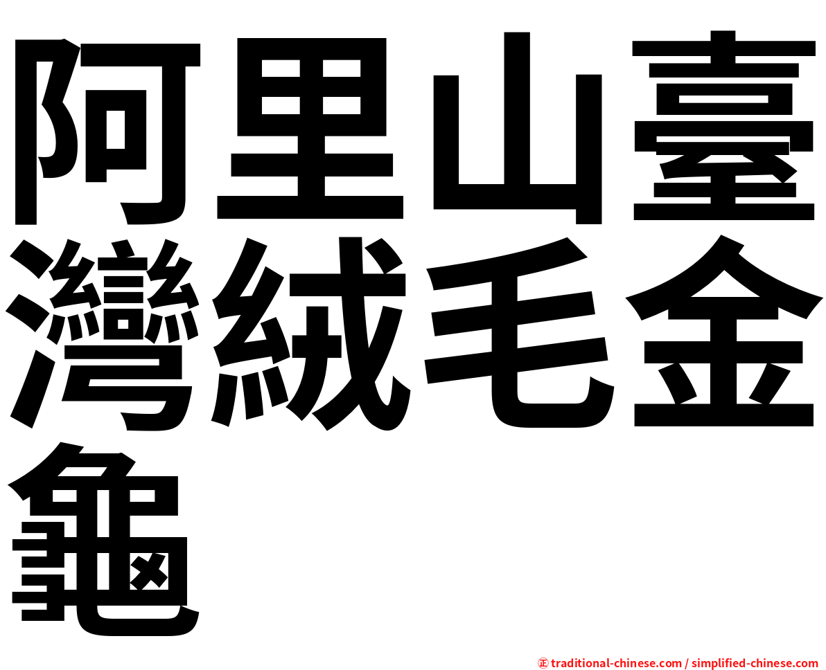 阿里山臺灣絨毛金龜