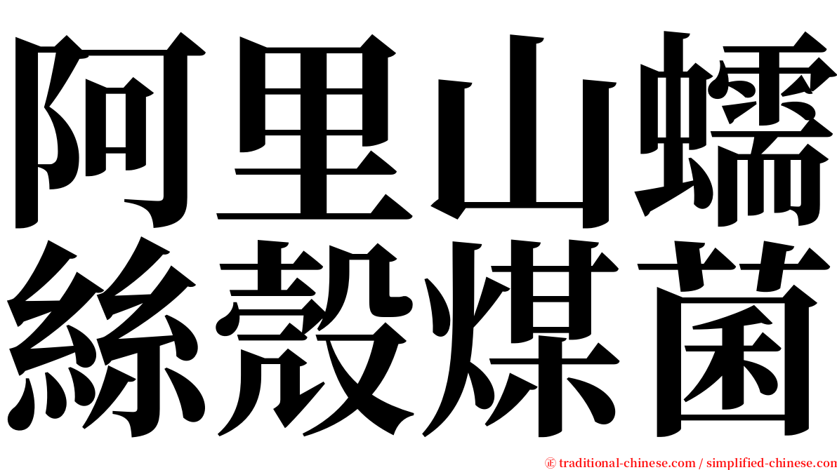 阿里山蠕絲殼煤菌 serif font