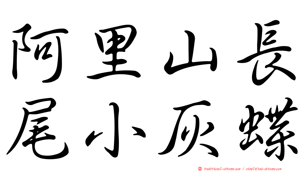 阿里山長尾小灰蝶