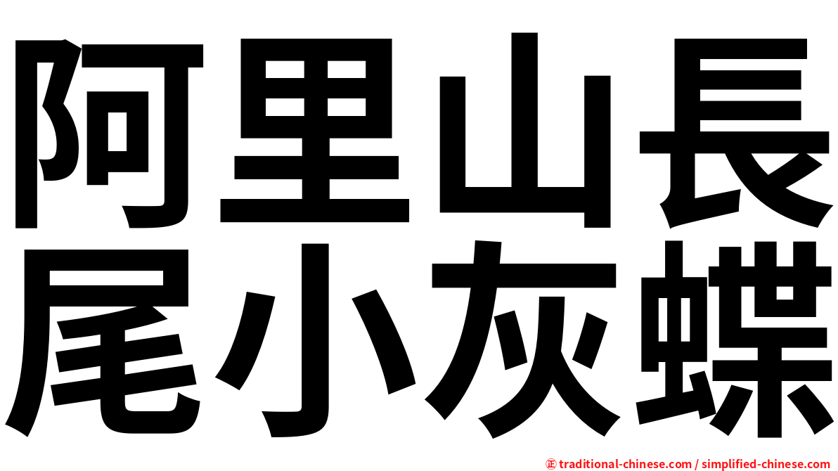 阿里山長尾小灰蝶