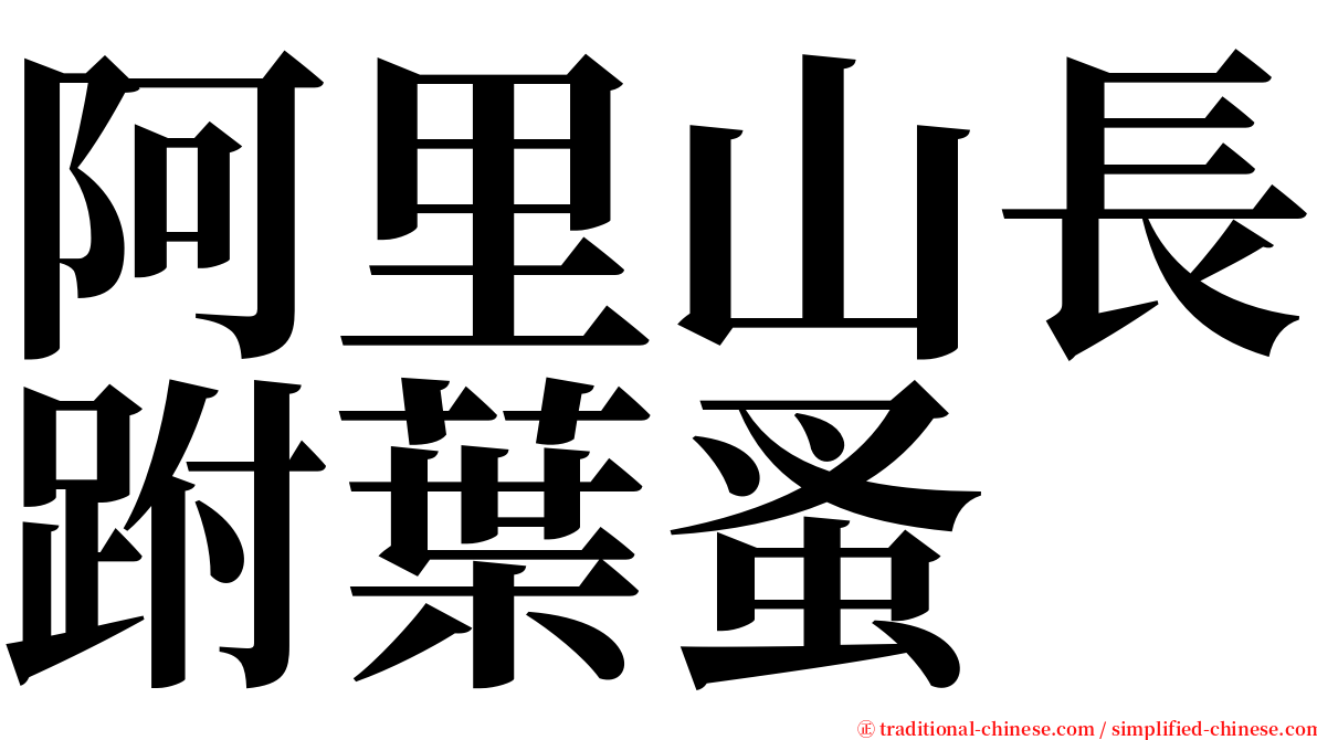 阿里山長跗葉蚤 serif font