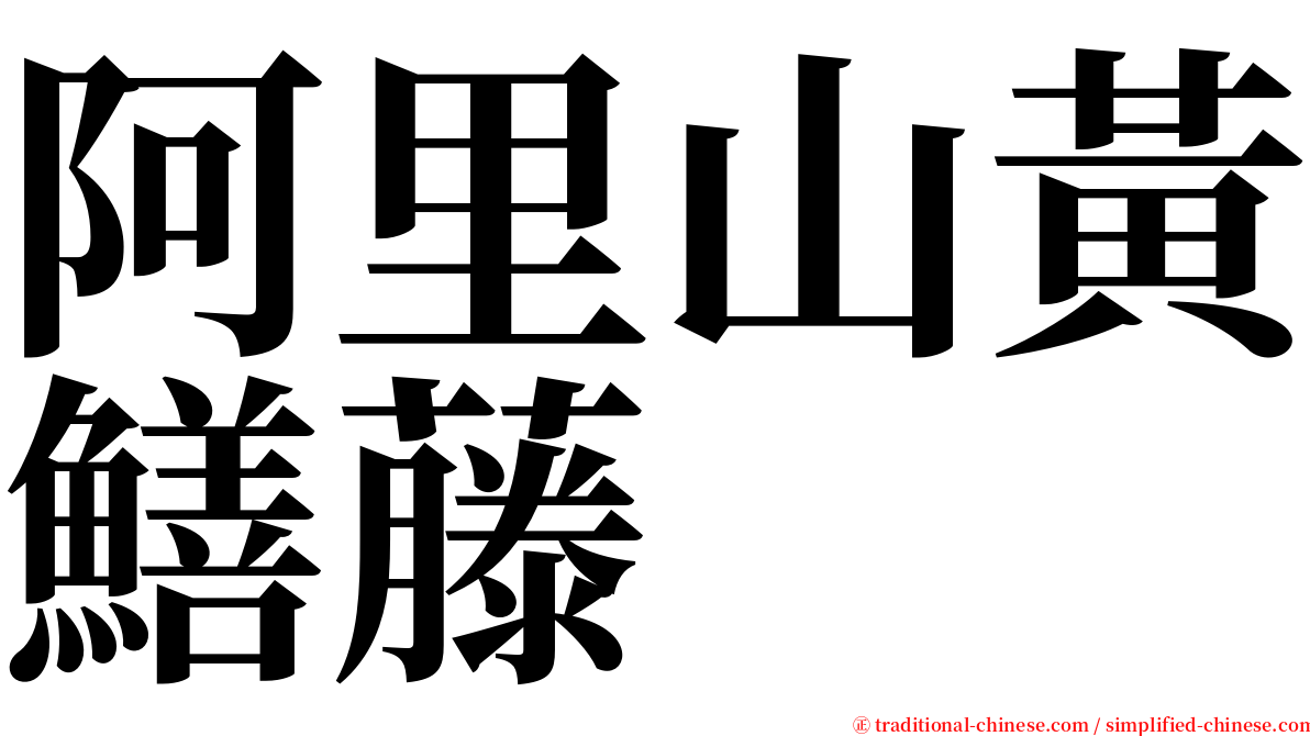 阿里山黃鱔藤 serif font