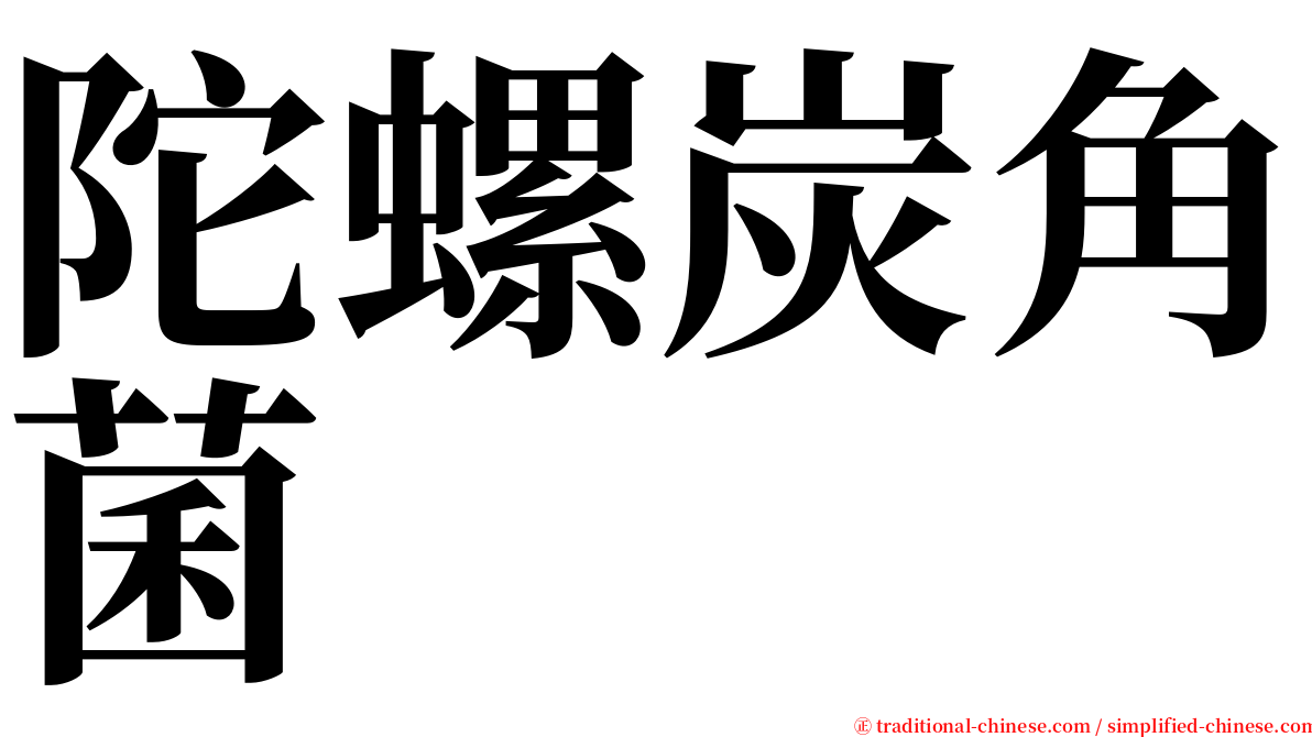 陀螺炭角菌 serif font