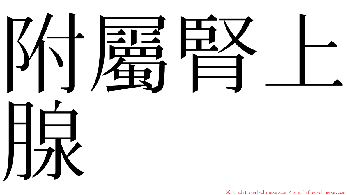 附屬腎上腺 ming font