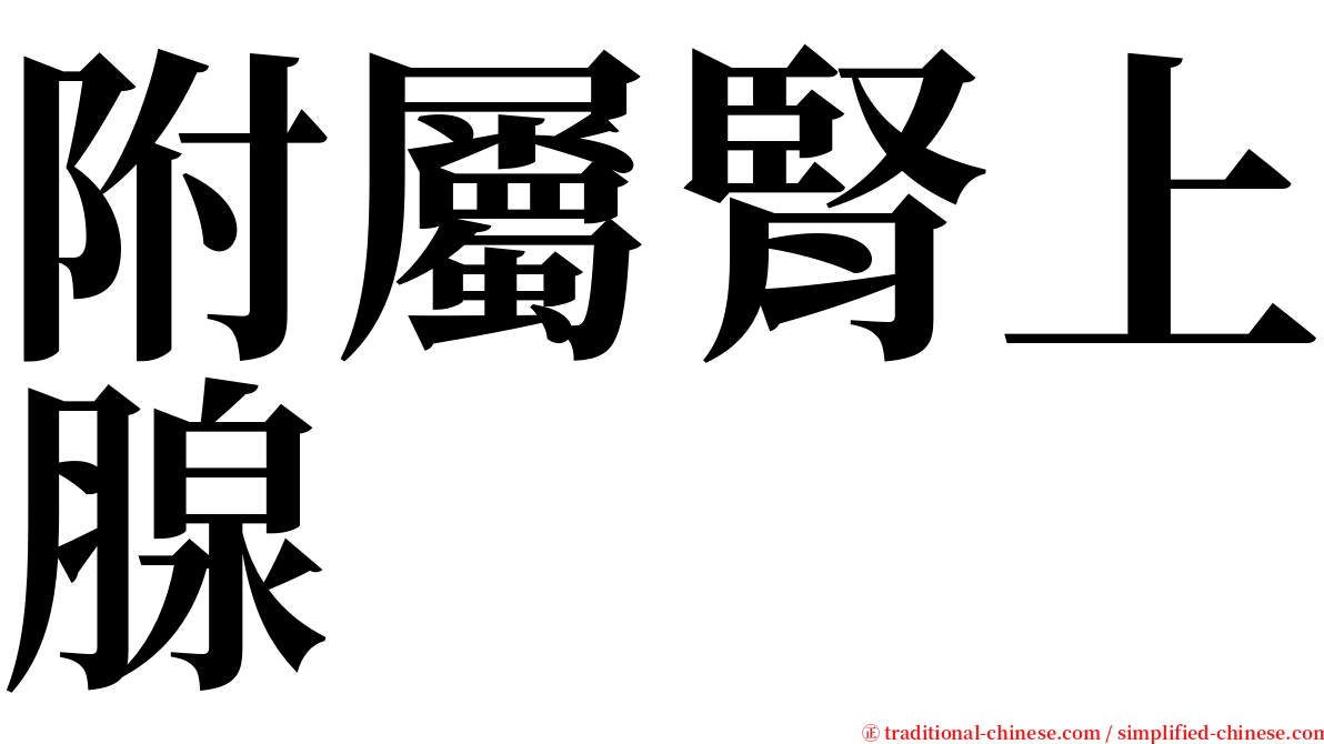 附屬腎上腺 serif font