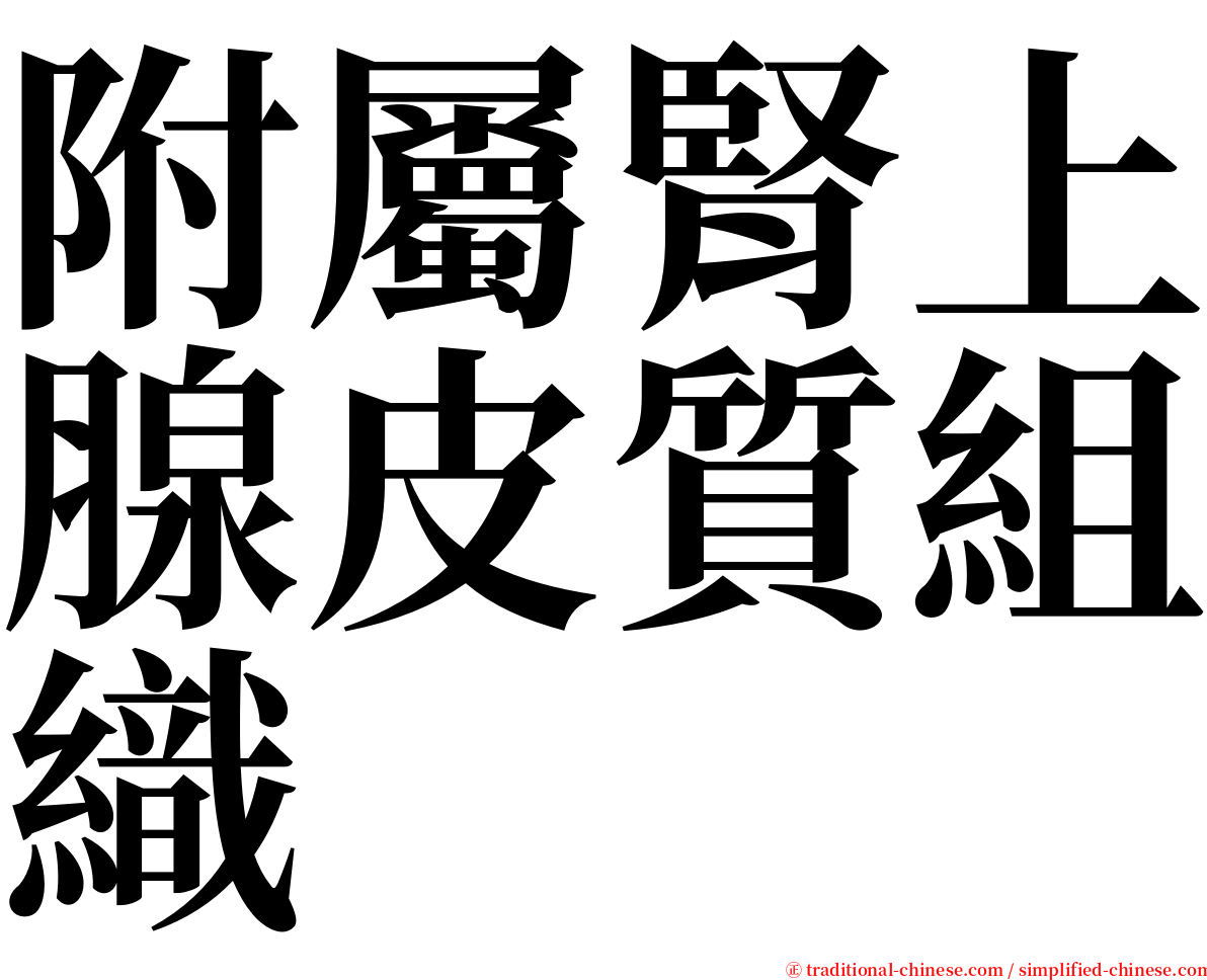 附屬腎上腺皮質組織 serif font