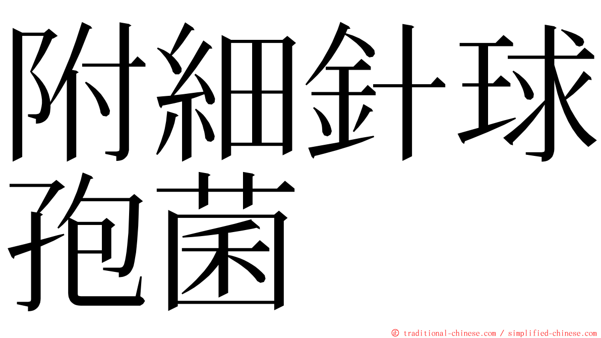 附細針球孢菌 ming font