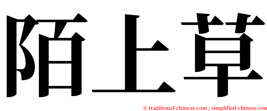 陌上草 serif font