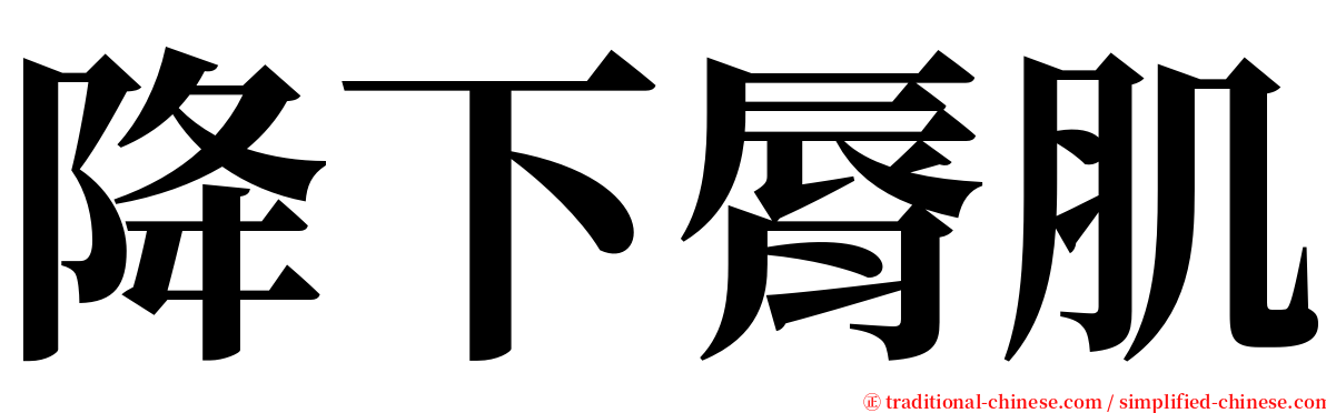 降下脣肌 serif font