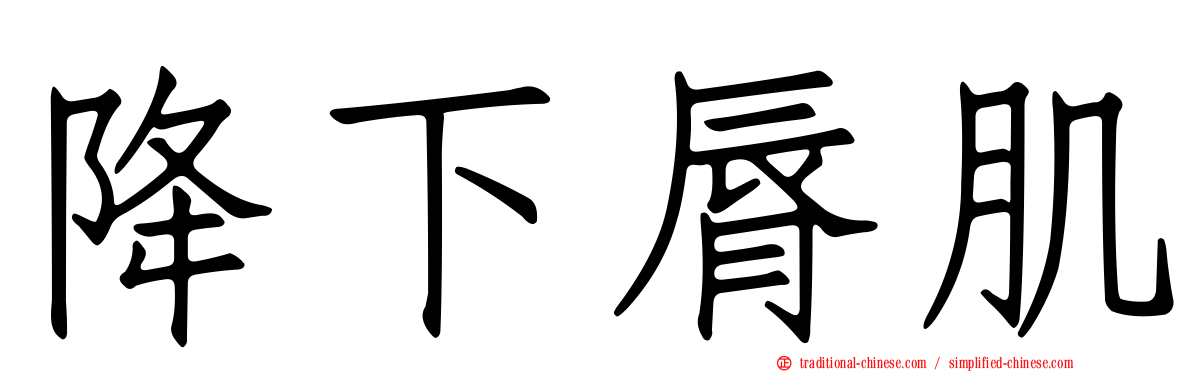 降下脣肌