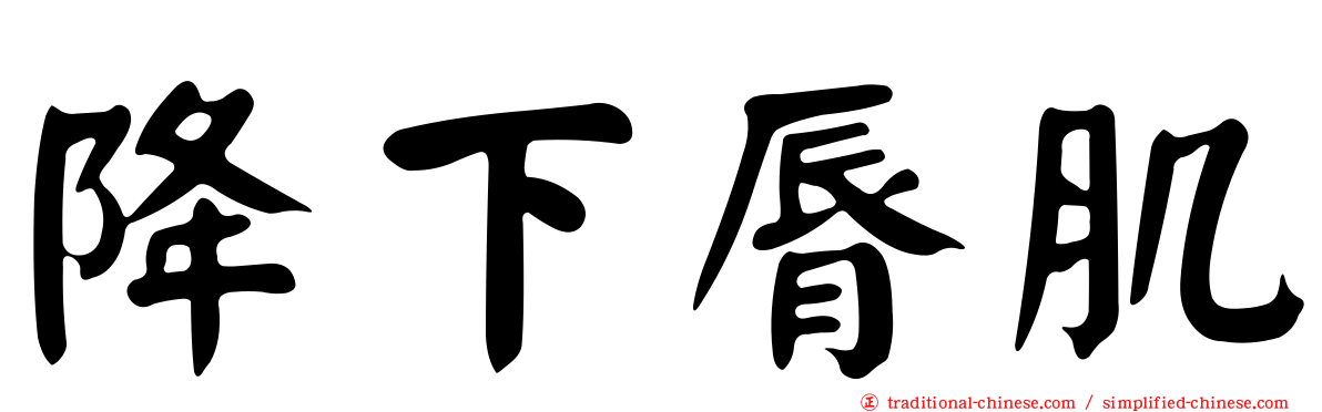 降下脣肌