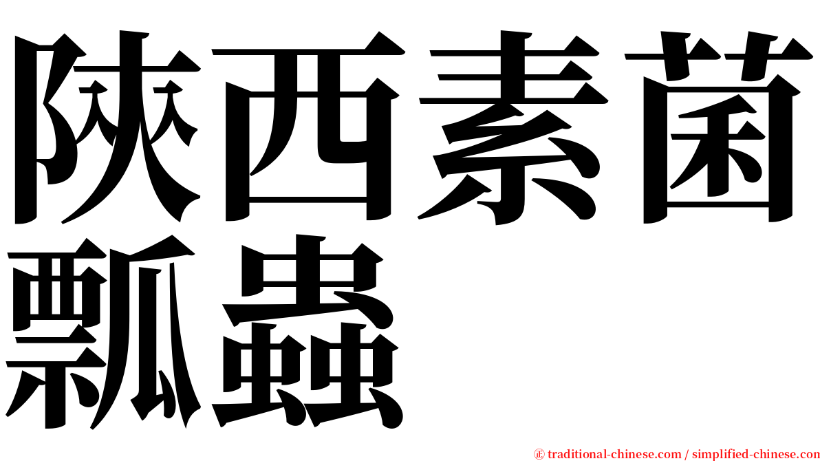 陝西素菌瓢蟲 serif font