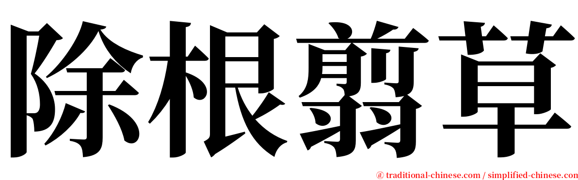 除根翦草 serif font