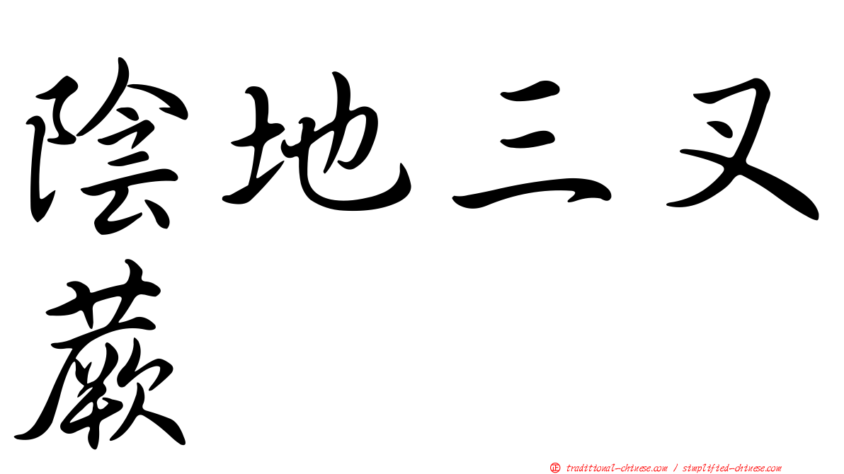陰地三叉蕨