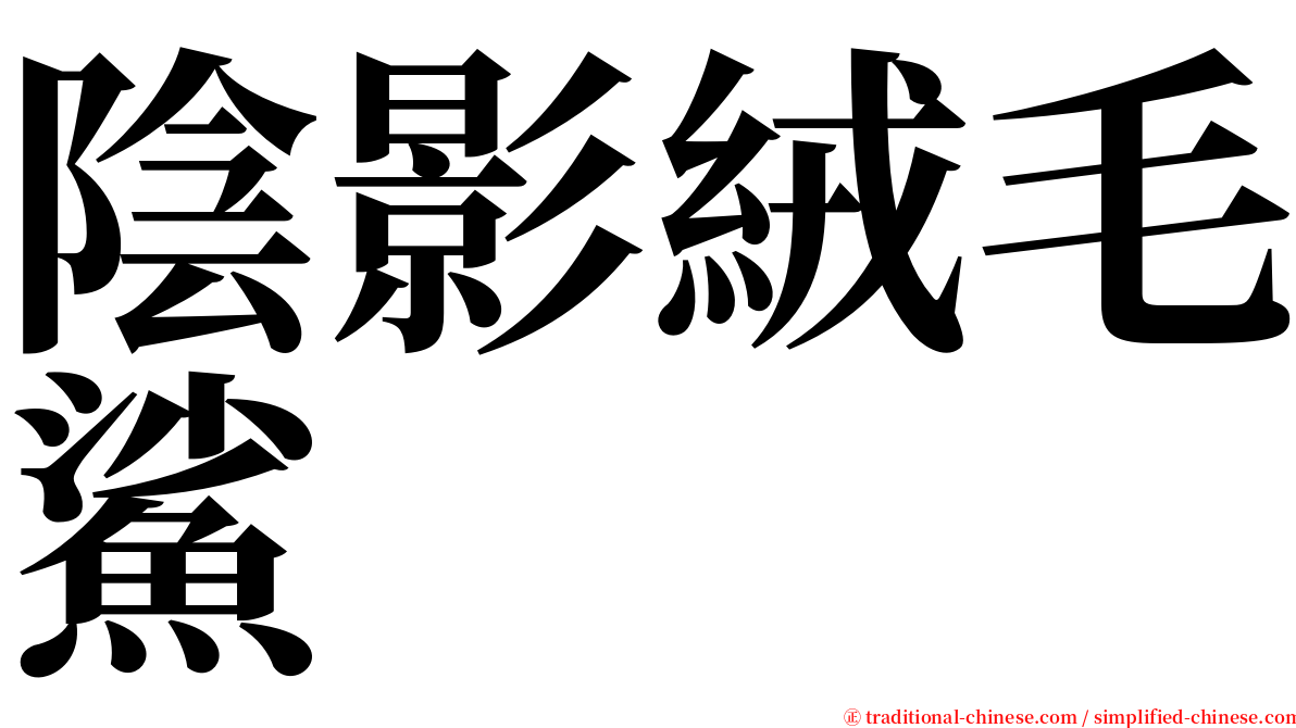 陰影絨毛鯊 serif font