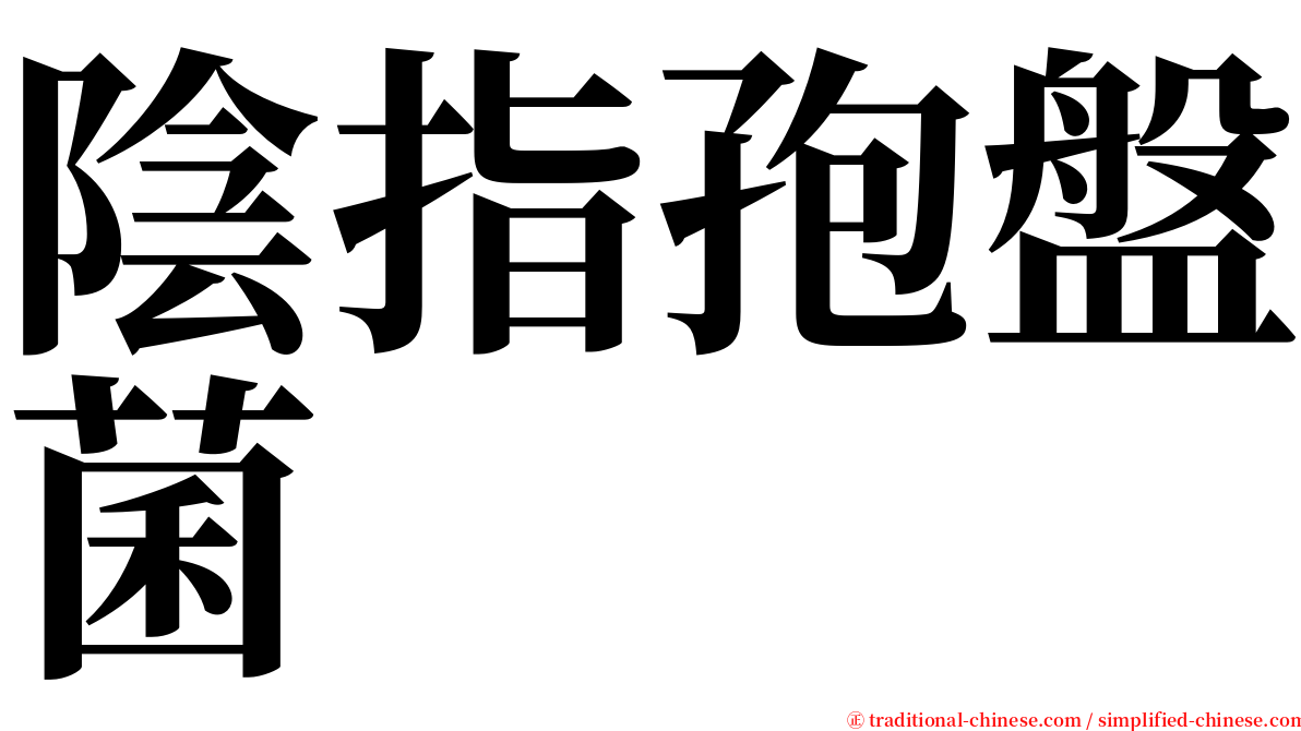 陰指孢盤菌 serif font