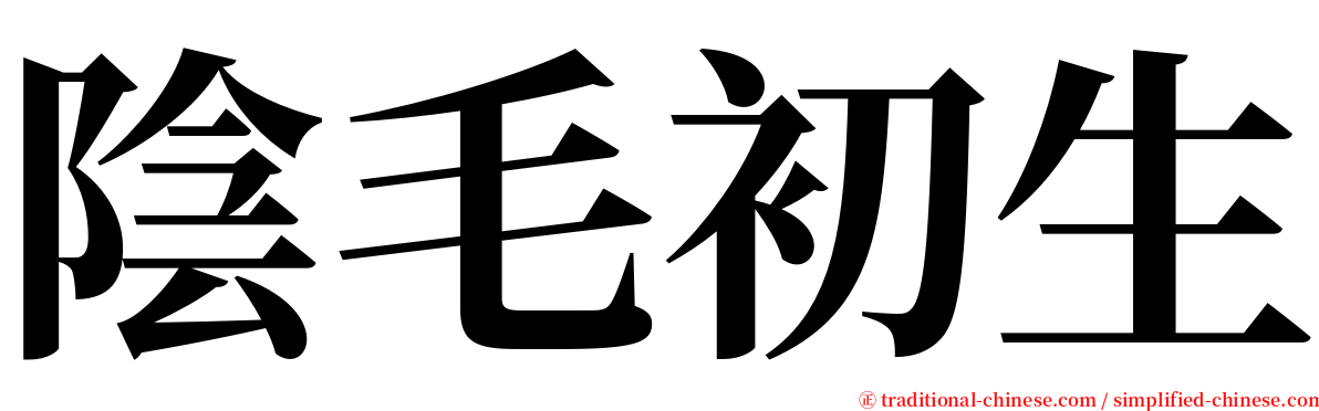 陰毛初生 serif font