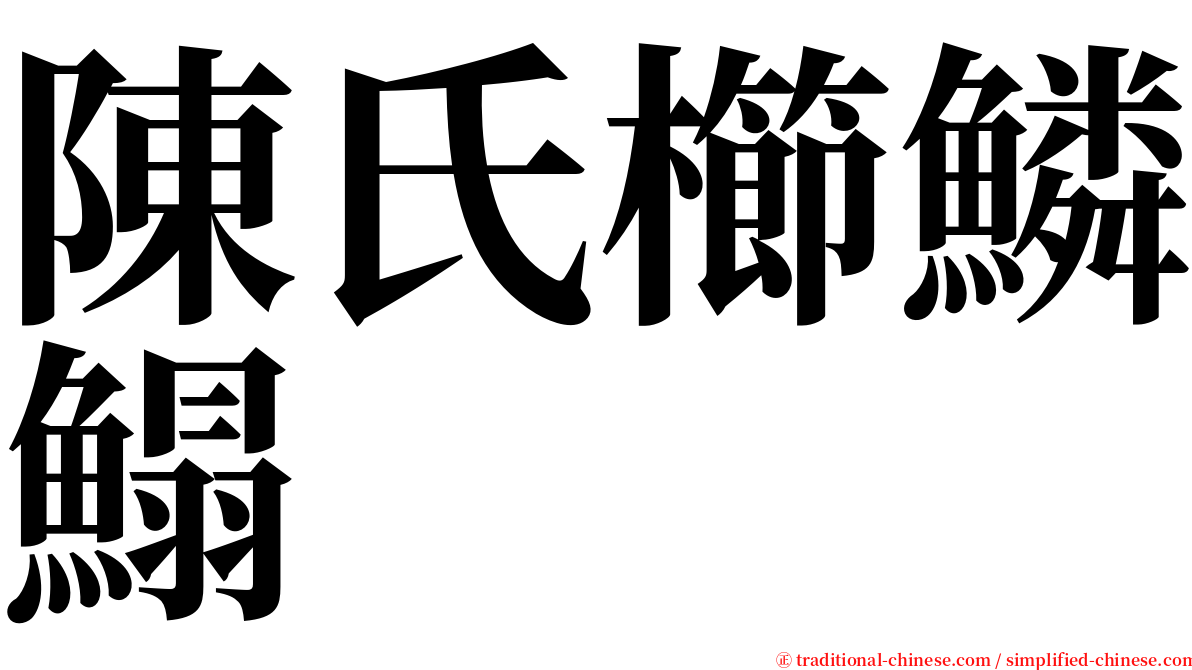 陳氏櫛鱗鰨 serif font