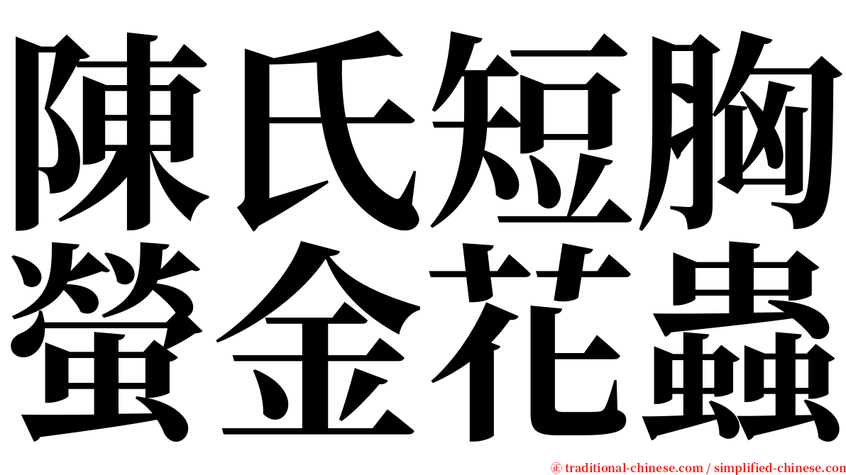 陳氏短胸螢金花蟲 serif font