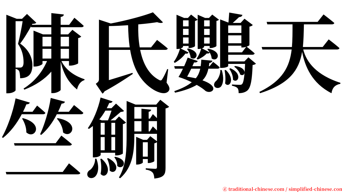 陳氏鸚天竺鯛 serif font