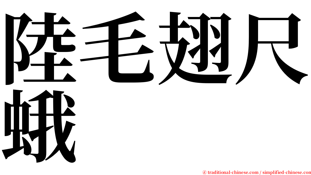 陸毛翅尺蛾 serif font