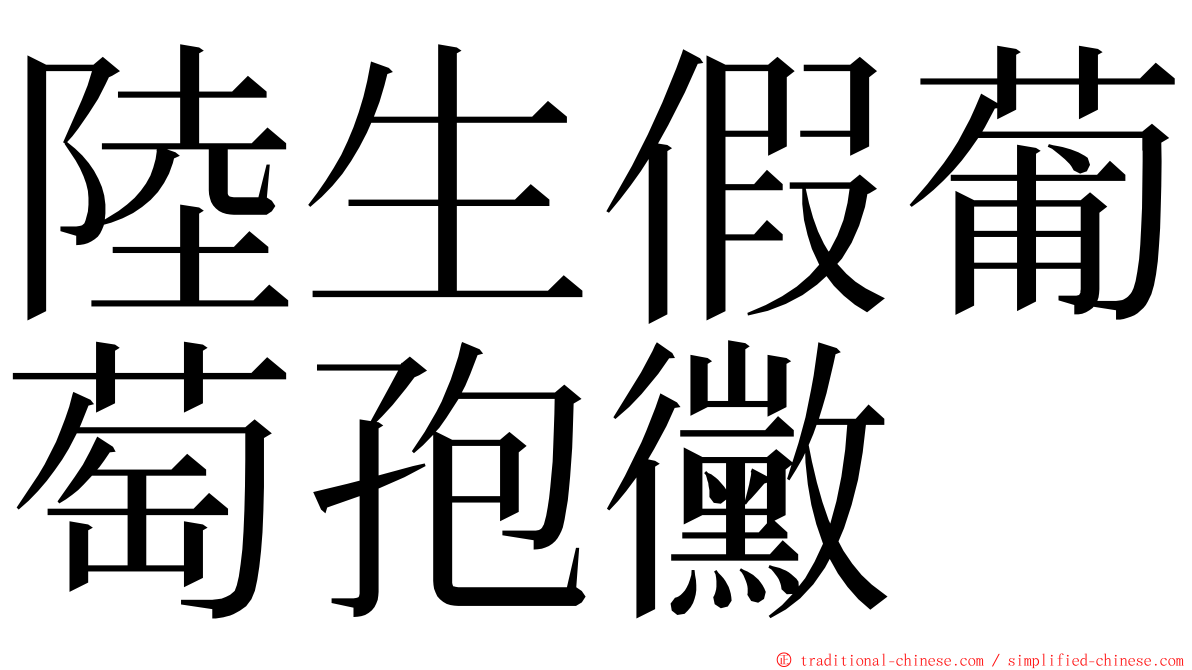 陸生假葡萄孢黴 ming font