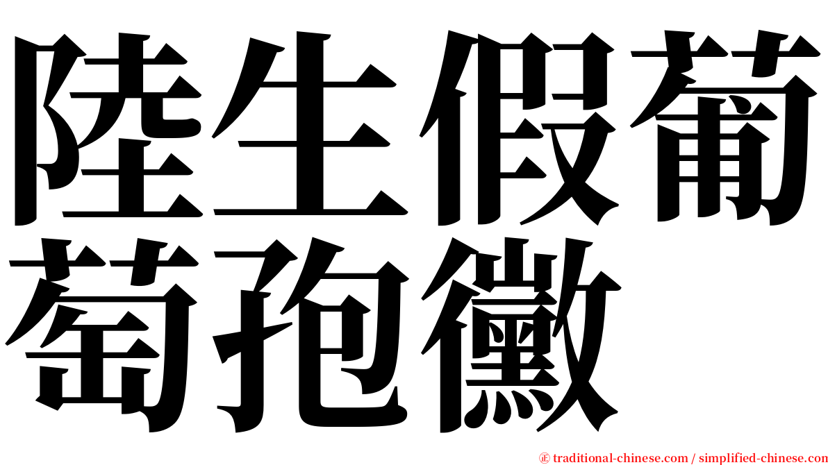 陸生假葡萄孢黴 serif font