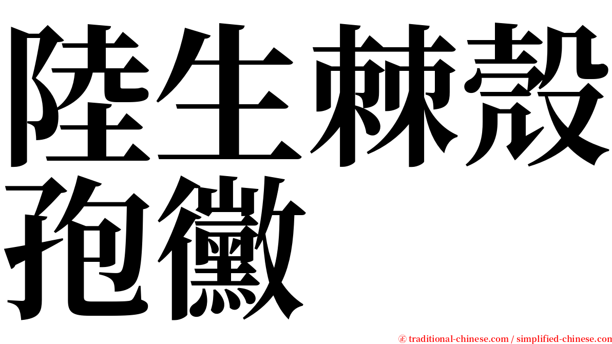 陸生棘殼孢黴 serif font