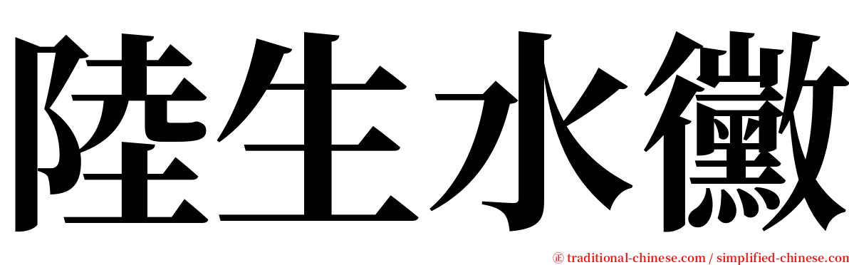 陸生水黴 serif font