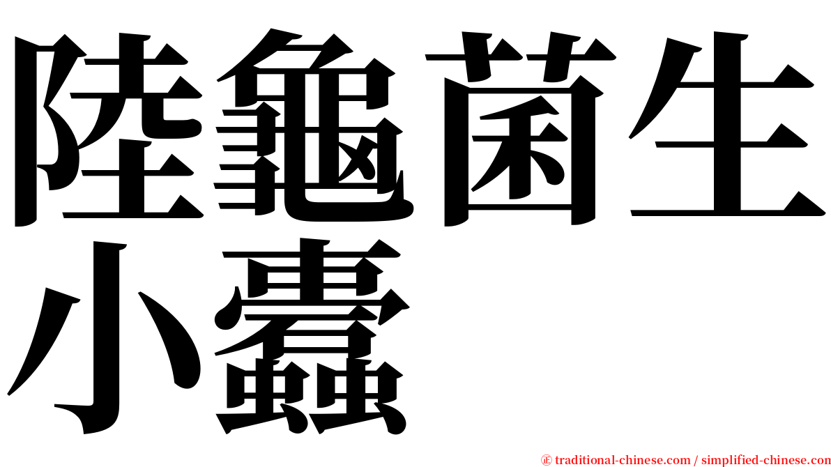 陸龜菌生小蠹 serif font