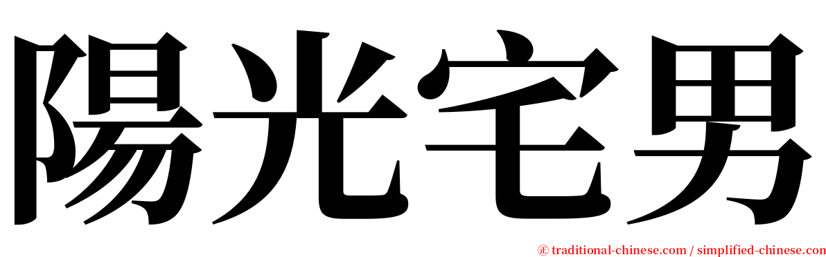 陽光宅男 serif font